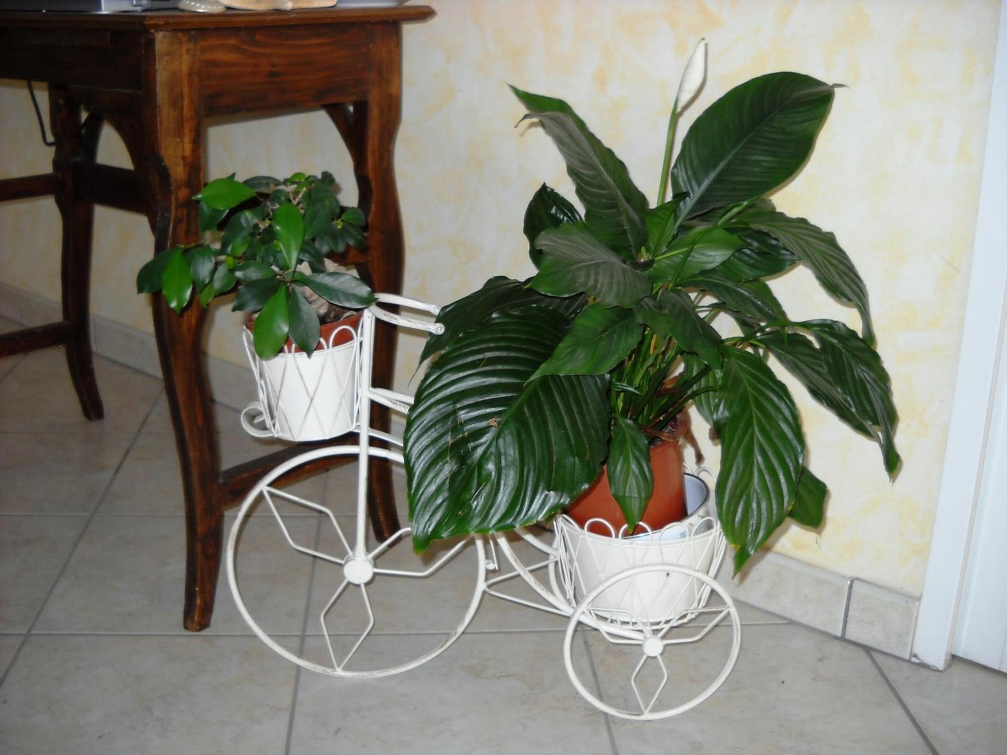 Hotel La Playa San Benedetto del Tronto Luaran gambar